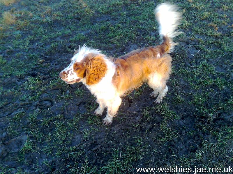 2011-01-09 07.jpg